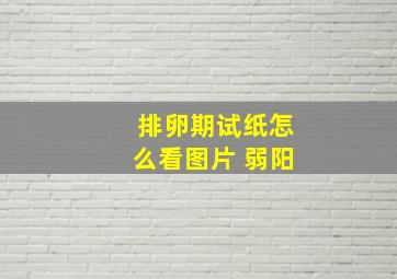 排卵期试纸怎么看图片 弱阳